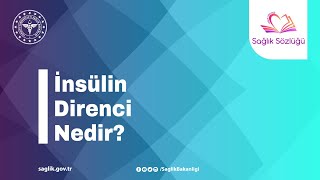 İnsülin Direnci Nedir SağlıkSözlüğü [upl. by Mesics162]