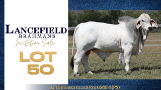 Lot 50 Lancefield S Rex 65481 PS [upl. by Mlehliw]