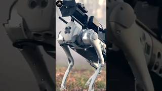 Chinas Robodog Army  Robot Dog [upl. by Massiw473]