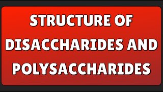 Structure of Disaccharides and Polysaccharides [upl. by Monty]