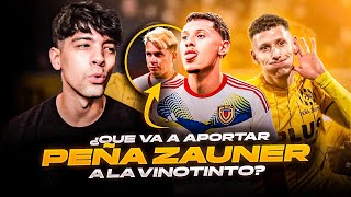 🤯🇻🇪 ¡ZAUNER ES MEJOR DE LO QUE CREES  Analizamos lo que puede aportar a la VINOTINTO  RedWine [upl. by Sonahpets626]