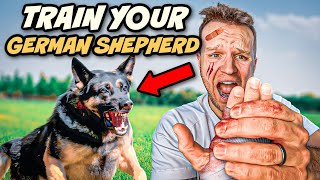 5 Tips to train an Aggressive German Shepherd [upl. by Mallina]