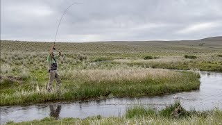 Fly Fishing in Patagonia Small Stream Explorations in Chubut Province Argentina [upl. by Ttik]