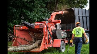 Seaford Tree Service Morbark 1922 Brush Chipper [upl. by Emyam]