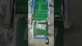 Auto Checkweigher  Automatic Weighing And Checking Machine  Checkweigher checkweigher [upl. by Yessac]