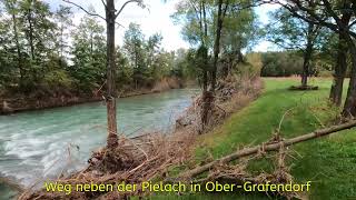 Hochwasser in OberGrafendorf NÖ  Pielachtal [upl. by Orelle]