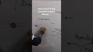 What are Sister and Non sister Chromatids Crossover and Tetrad Structure [upl. by Adnarym966]