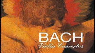 JS Bach The Violin Concertos [upl. by Vey]