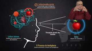 Realidade do intelecto  Olavo de Carvalho [upl. by Inalaehon]