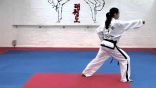 White Belt basic techniques  Saju Makgi and Saju Jirugi ITF TKD Taekwon Do [upl. by Noved]