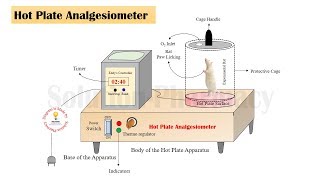 Eddys Hot Plate Analgesiometer  Hot Plate Analgesiometer  Demonstration of Parts NO Audio [upl. by Hamlin]