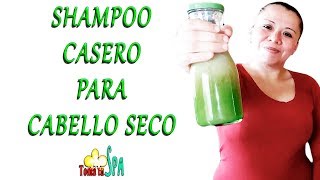 SHAMPOO CASERO DE MANZANILLA PARA EL CABELLO SECO ¡DIY [upl. by Mairb]