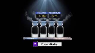 Product Lyophilization Process [upl. by Enairb483]