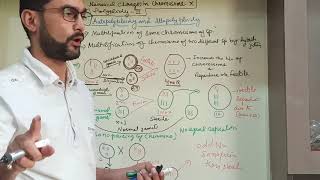 Geneticslecture 24  autopolyploidy and allopolyploidy [upl. by Shargel872]