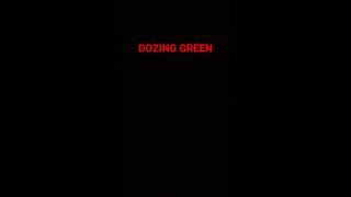 地声低い男がDOZING GREEN DIR EN GREY歌ってみたら爆死した件【hiE編】 shorts [upl. by Roberto99]