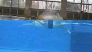 Michael Phelps Freestyle Training [upl. by Janina]