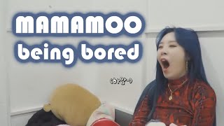 MAMAMOO but mostly maknae line being bored ZzZz MV on crack [upl. by Nolra]