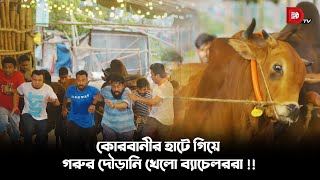 কোরবানীর হাটে গিয়ে গরুর দৌড়ানি খেলো ব্যাচেলররা [upl. by Latsyrcal]