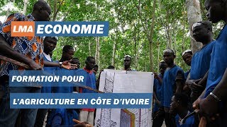 Côte dIvoire  Formation pour aspirants producteurs de caoutchouc [upl. by Tesil710]