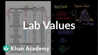 Introduction to lab values and normal ranges  Health amp Medicine  Khan Academy [upl. by Elberfeld]