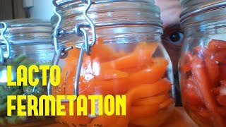 lacto fermentation des légumes [upl. by Salangi]