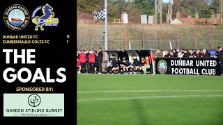 THE GOALS  vs Cumbernauld Colts FC  South Challenge Cup Round 4  190124 [upl. by Chastain]