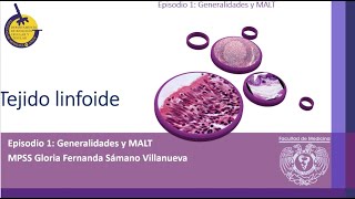 T2C15E1Tejido Linfoide Generalidades y MALT [upl. by Sarnoff]