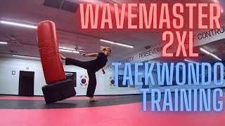 Wavemaster 2XL Taekwondo Training [upl. by Eek307]