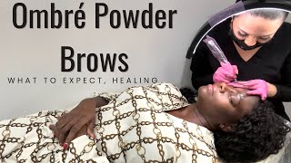 OMBRE POWDER BROWS MICROSHADING ON DARK SKIN BROW ARTIST INTERVIEW WHAT TO EXPECT  HEALING [upl. by Boj]