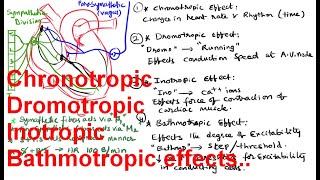 Chronotropic  Dromotropic Inotropic Bathmotropic effects on the Heat [upl. by Eniamej]