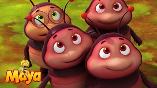 🐝lets make some Propolis  Part 1  Maya the Bee🐝 [upl. by Culbert172]