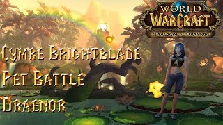 Cymre Brightblade  Pet Battle Strategy Guide  WoW BFA 82 [upl. by Mariann]