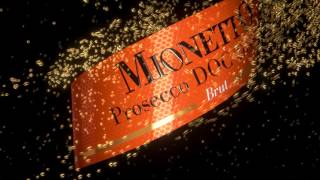 Mionetto Prosecco Commercial 2015 [upl. by Ailegnave36]