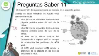 Preguntas Biología  Código Genético [upl. by Adnor]