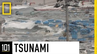 Tsunamis 101  National Geographic [upl. by Leinadnhoj]