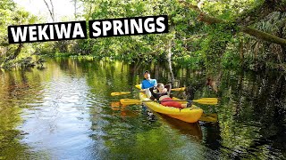 Wekiwa Springs Kayaking amp Florida Camping [upl. by Pryor974]