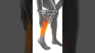 Yoga for Calves and Shins  10 Minute Yoga Stretches and Massage for Tight Lower Legs and Ankles [upl. by Krishnah25]