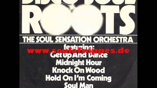 SSO THE SOUL SENSATION ORCHESTRA  Won´t you try DiscoSoulFunk [upl. by Ocsinarf]