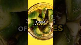 3 Levels of Pickles [upl. by Eiro]