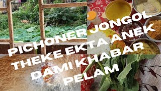 Amader Pichoner Jongol Theke Anek Dami Ekta Khabar Pelam 👍  Bong Official 809 [upl. by Hepsibah]