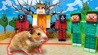 Hamster Escaped the Maze Squid Game Minecraft [upl. by Suoilenroc]