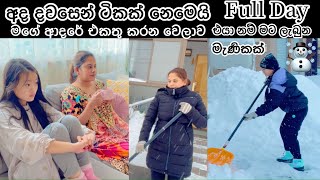 අද දවස 🌹 Life in japan 🇯🇵🇱🇰 Sinhala vlog 😘 [upl. by Yllut145]