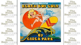 Gidea Park  Beach Boy Gold DJ L33 Remaster and Music Video The Beach Boys Adrian Baker Medley [upl. by Winthorpe866]