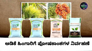 ಅಡಿಕೆ ಹಿಂಗಾರಿನಲ್ಲಿ ಸಮಗ್ರ ಪೋಷಕಾಂಶಗಳ ನಿರ್ವಹಣೆ  Fertilizer management in Arecanut [upl. by Anirok]