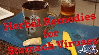 Herbal Redemies for Stomach Virus [upl. by Ppik]