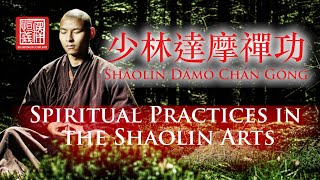 🍵 Tee Talk 🍵 with Grandmaster Jiang Yu Shan Spiritual Development in the Shaolin Arts [upl. by Enihpled561]