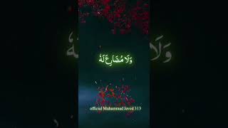 shah ataullah Bukhari video duet shortvideos deenaislam [upl. by Rus855]