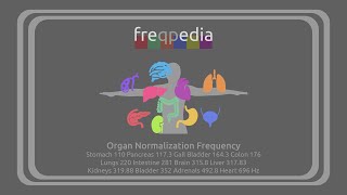 All Organ Normalization Rife Tones [upl. by Smiga907]