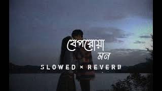 Beporowa Mon  বেপরোয়া মন  Habib Wahid  slowed  reverb  Lofimusic [upl. by Madra]