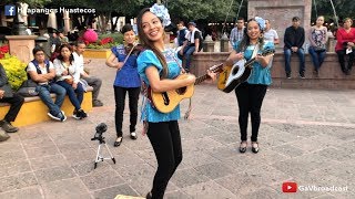 COMPARTAN Vean como bailan y tocan huapango el Trío Perlitas Queretanas [upl. by Maia]